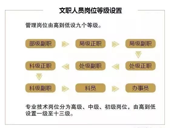 武警部队人事最新消息,武警部队人事最新消息深度解析