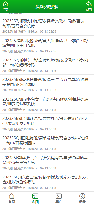 新澳门资料大全正版资料2023,新澳门资料大全正版资料2023，探索澳门的魅力与未来