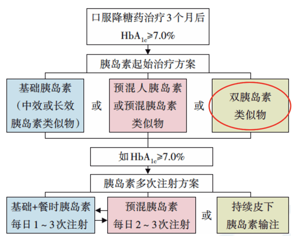 新澳门精准的资料大全,新澳门精准的资料大全，探索与解读