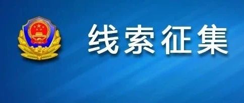 2025年1月2日 第11页