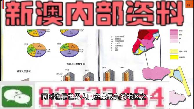 澳门精准正版资料63期,澳门精准正版资料深度解析，第63期探索与启示