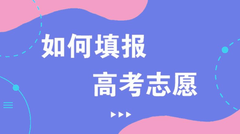 管家婆一马一肖一中一特,管家婆的独特智慧，一马当先，精准预测