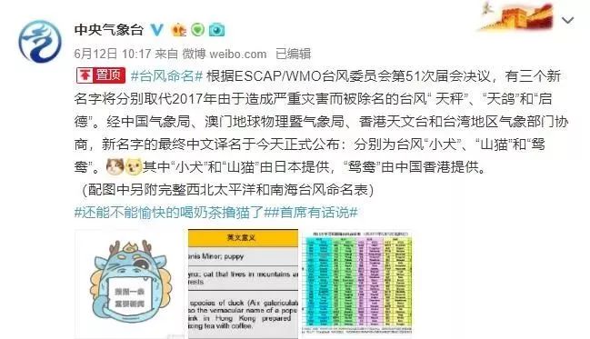 新澳门三期必开一期,新澳门三期必开一期，揭示背后的风险与应对之策