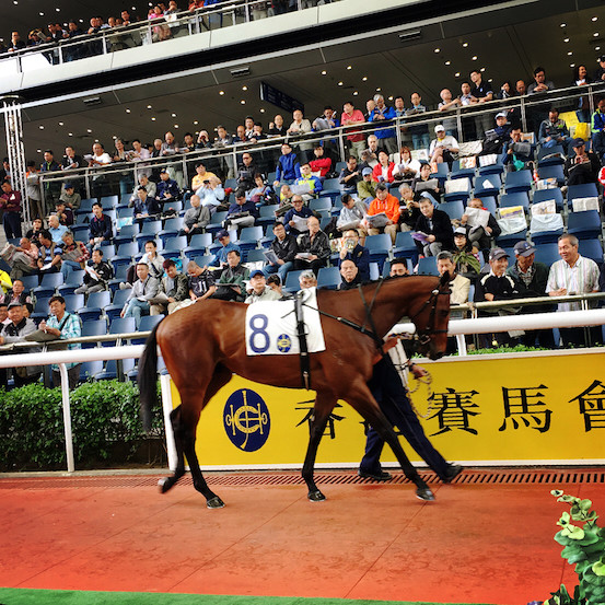 香港马买马网站www,香港马买马网站——探索赛马产业的数字化之路