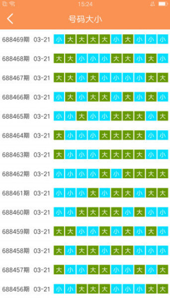 2025澳门天天开好彩大全53期,澳门天天开好彩大全，探索与期待2025年53期的奇迹