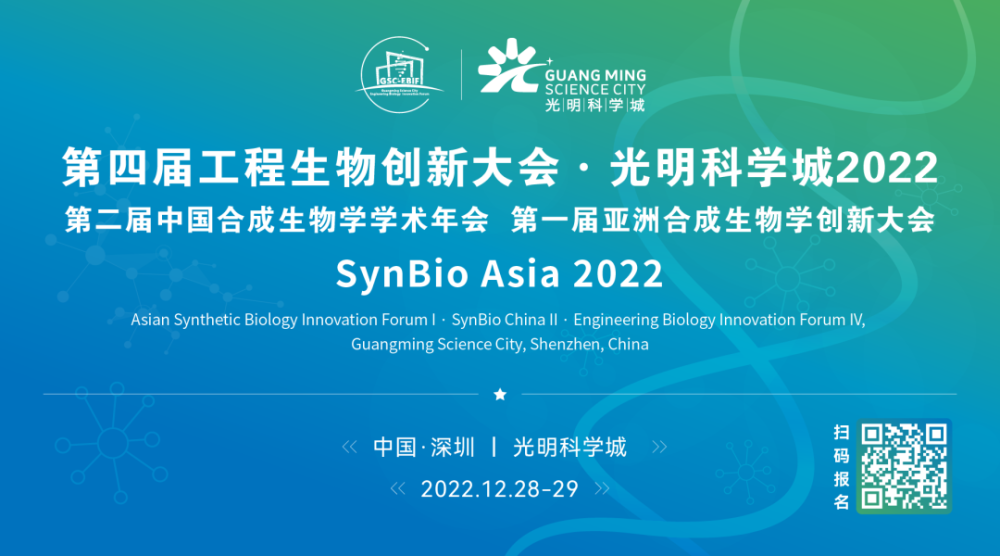 新澳资料大全正版2025,新澳资料大全正版2025，引领未来的资讯宝库