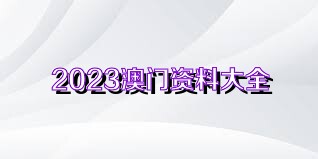 2025澳门正版免费精准大全,澳门正版免费精准大全，探索未来的彩票奥秘与机遇