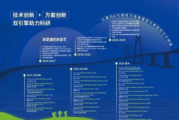 2025新澳免费资料绿波,探索未来，2025新澳免费资料绿波之旅