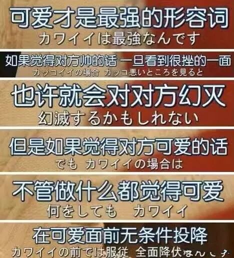 新奥门资料大全正版资料2025099期 12-17-24-39-40-46Y：01,新奥门资料大全正版资料解析，探索2025年第99期的数字秘密