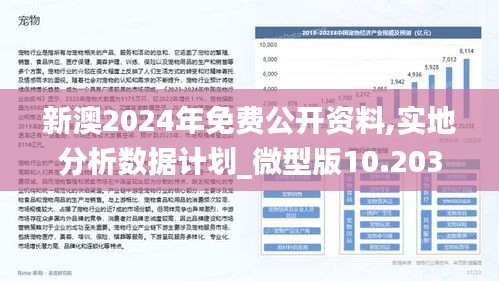 新澳精准资料免费提供221期146期 12-16-25-28-43-49B：10,新澳精准资料，探索免费提供的价值深度与前瞻性（第221期与第146期分析）