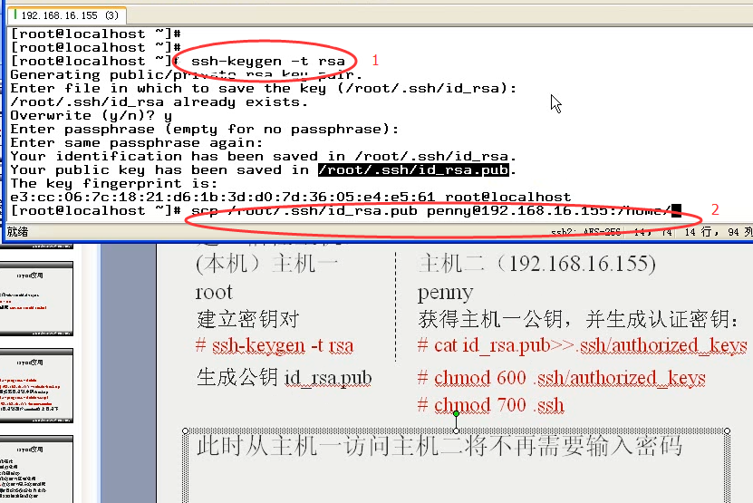 澳门三肖三码精准100%公司认证039期 03-08-12-15-16-39C：27,澳门三肖三码精准100%公司认证，揭秘彩票背后的秘密与策略（第039期分析）